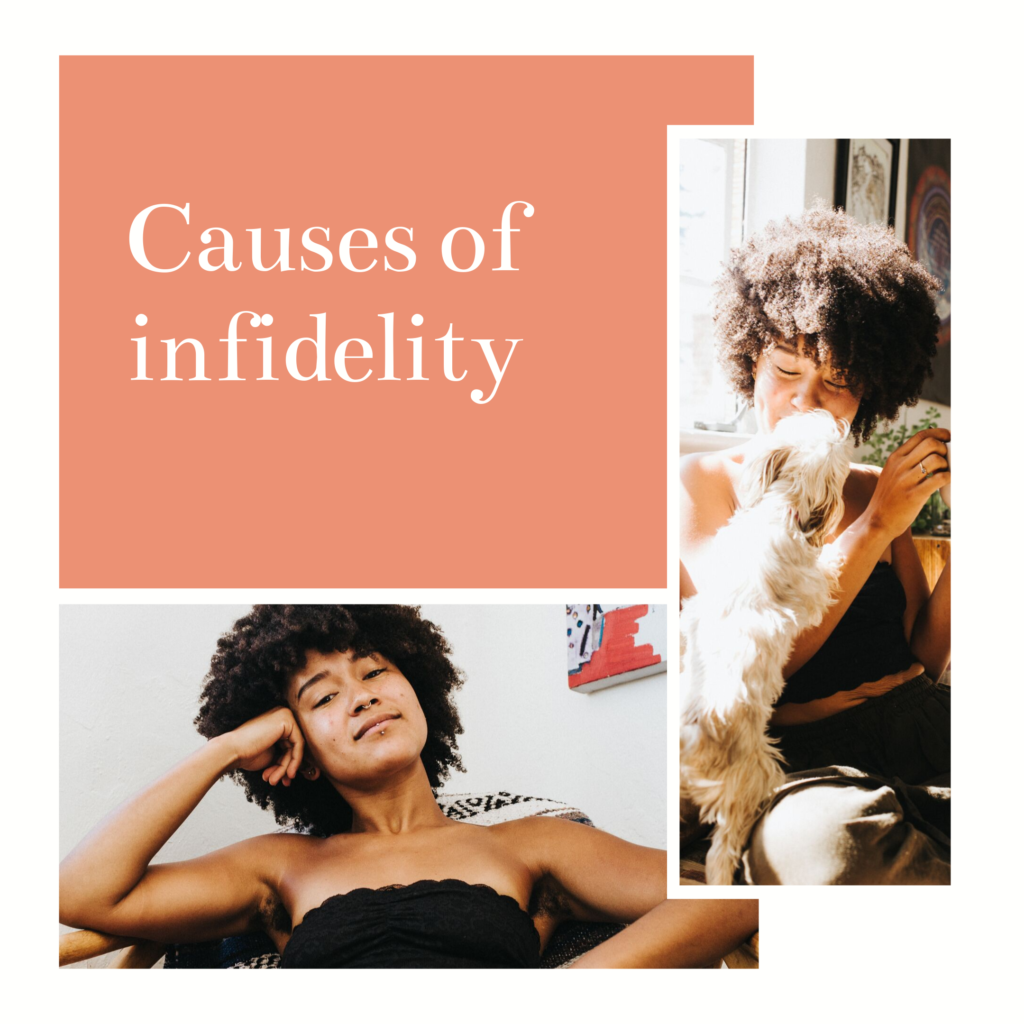 Causes of infidelity